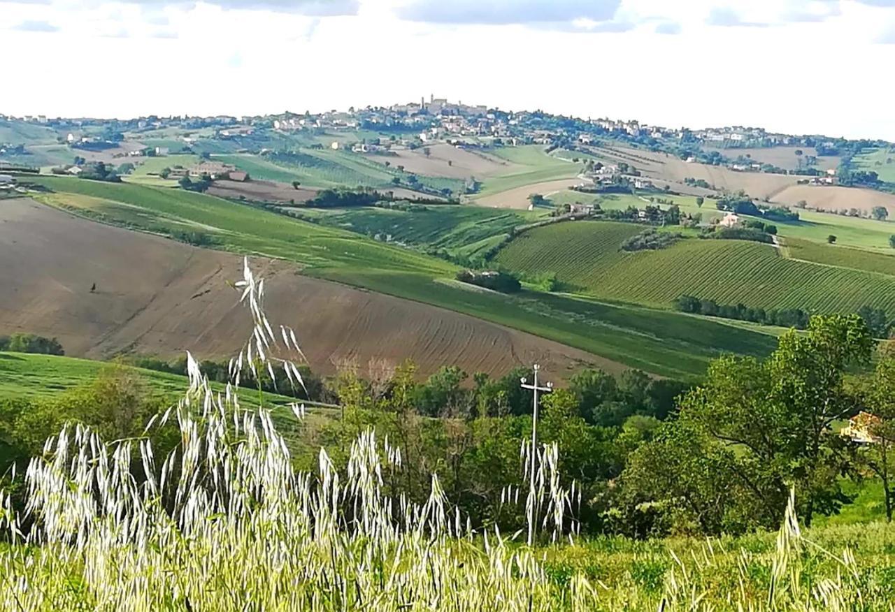 Вилла La Collina Dei Cavalieri Belvedere Ostrense Экстерьер фото