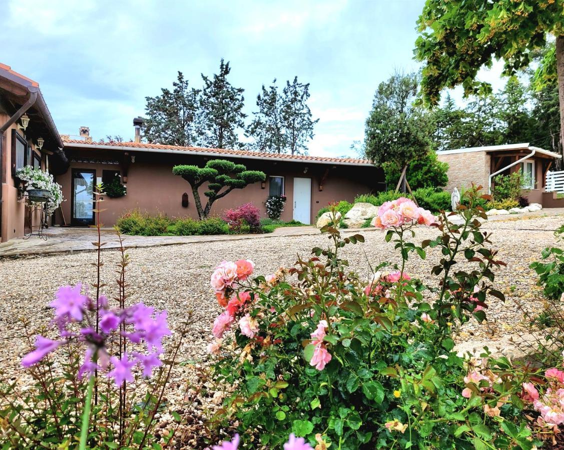 Вилла La Collina Dei Cavalieri Belvedere Ostrense Экстерьер фото