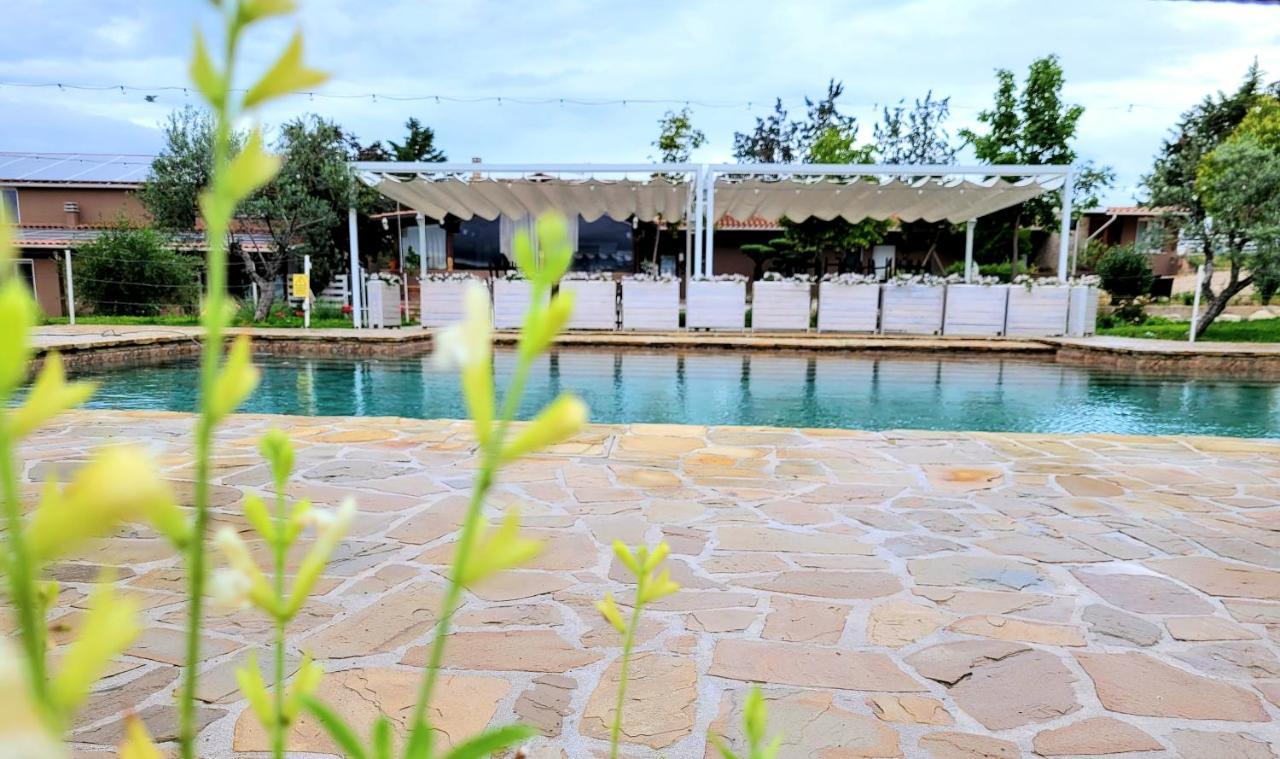 Вилла La Collina Dei Cavalieri Belvedere Ostrense Экстерьер фото