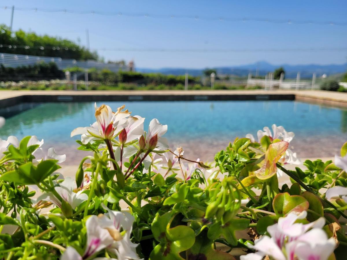 Вилла La Collina Dei Cavalieri Belvedere Ostrense Экстерьер фото