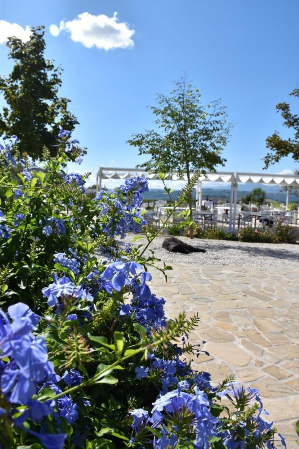 Вилла La Collina Dei Cavalieri Belvedere Ostrense Экстерьер фото